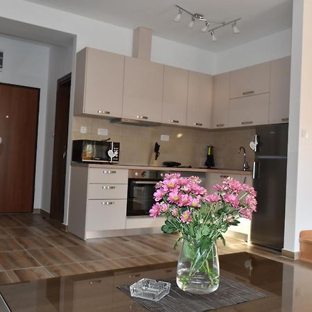 Apartments Sea View كوتور المظهر الخارجي الصورة